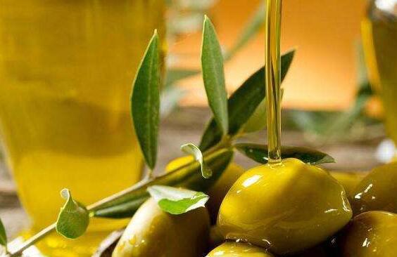 如何吃食用橄欖油　食用橄欖油的恰當吃法