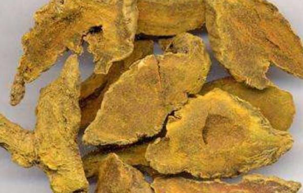 片姜黃的作用與功效