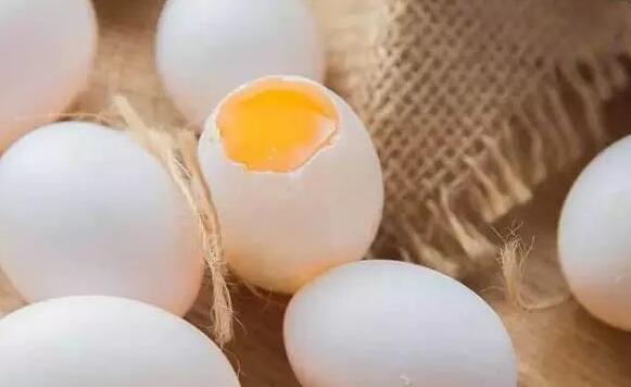 鴿蛋的作用與功效 鴿蛋的營(yíng)養(yǎng)成分