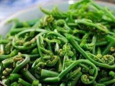 吃水蕨菜有哪些益處呢 水蕨菜有致癌物質嗎