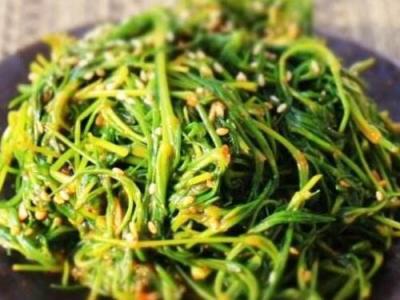 海蓬菜什么樣的人不應(yīng)多食 海蓬菜的禁忌