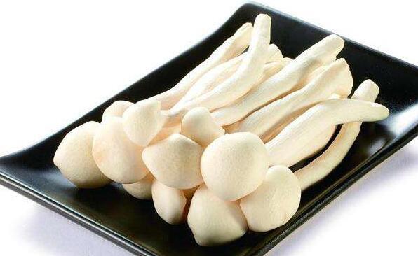 海鮮菇的作用與功效 海鮮菇的益處