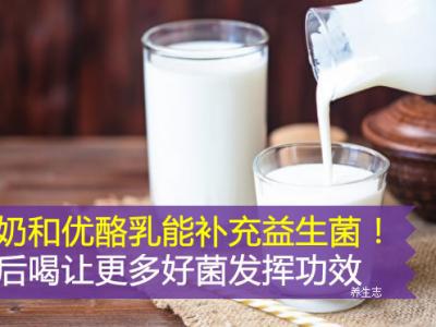 酸奶和優酪乳能補充益生菌！飯后喝讓更多好菌發揮功效