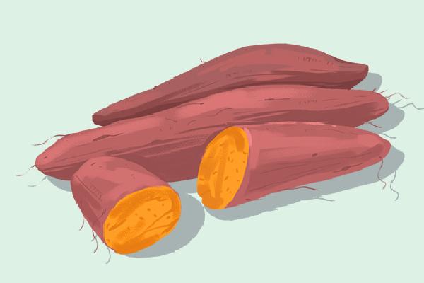 紅薯和牛奶可以一起吃嗎 紅薯的營養價值功效