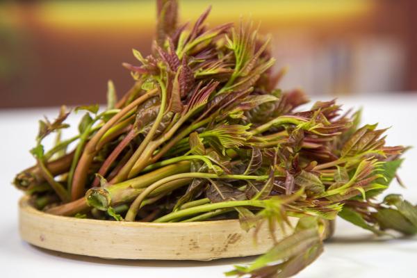 香椿可以曬干保存嗎 香椿怎么曬干-易網(wǎng)健康<a href=http://m.henggaotouzi.com/jkys/ target=_blank class=infotextkey>養(yǎng)生</a>網(wǎng) 香椿可以曬干保存嗎 香椿怎么曬干