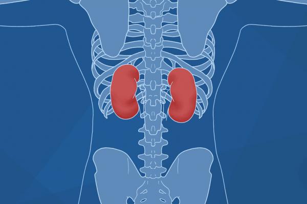 哪些人不適合吃香椿芽 香椿木的功效與作用