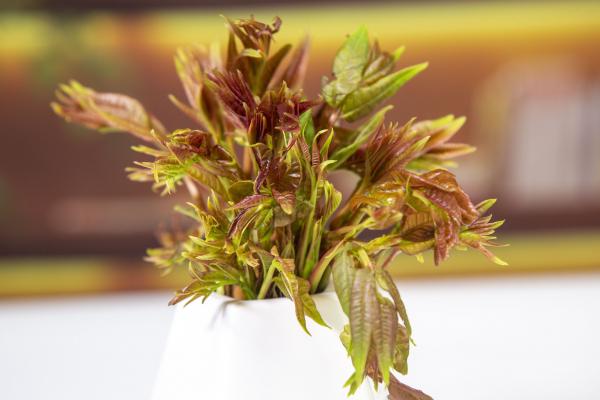 懷孕可以吃香椿炒雞蛋嗎 懷孕吃什么堅果好-易網健康<a href=http://m.henggaotouzi.com/jkys/ target=_blank class=infotextkey>養生</a>網 懷孕可以吃香椿炒雞蛋嗎 懷孕吃什么堅果好