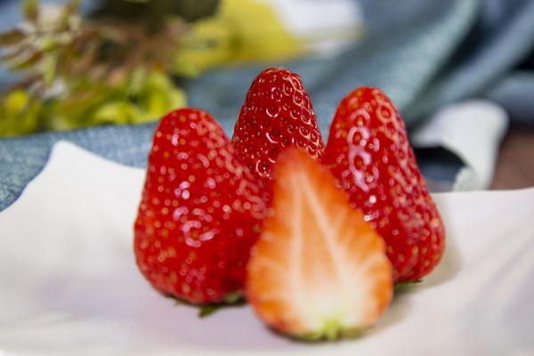 草莓放在室內一晚上會壞嗎 草莓適合和什么水果榨汁