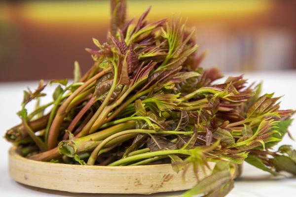 香椿不可以和什么一起吃 谷雨季節(jié)吃什么菜-易網(wǎng)健康<a href=http://m.henggaotouzi.com/jkys/ target=_blank class=infotextkey>養(yǎng)生</a>網(wǎng) 香椿不可以和什么一起吃 谷雨季節(jié)吃什么菜