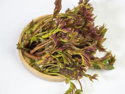 香椿的營養(yǎng)價值和功效 香椿的美味吃法