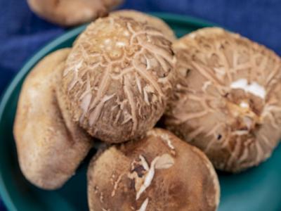 蝦不可以和什么一起吃 蝦怎么做簡單好吃