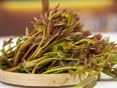 香椿不可以和什么一起吃 谷雨季節(jié)吃什么菜