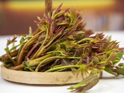 紅香椿和綠香椿的區(qū)別 香椿的功效作用