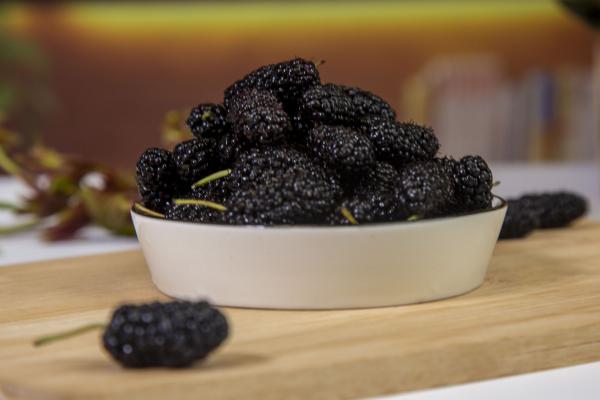 桑葚酒泡兩三年還可以喝嗎 桑葚的常見吃法