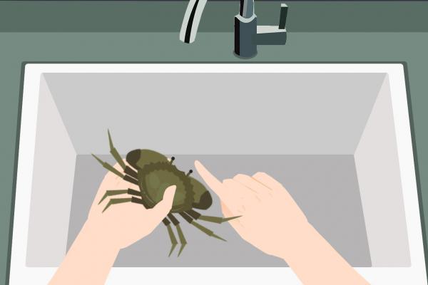 梭子蟹要冷水蒸還是開水蒸 蒸梭子蟹的方法-易網<a href=http://m.henggaotouzi.com/ target=_blank class=infotextkey>健康養生</a>網 梭子蟹要冷水蒸還是開水蒸 蒸梭子蟹的方法