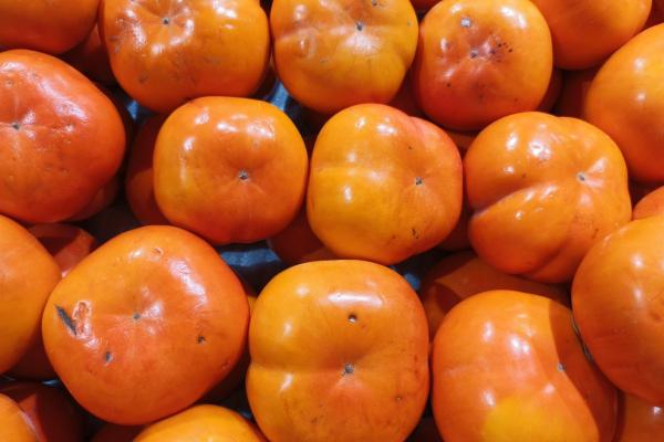 橘子和柿子可以一起吃嗎 柿子的禁忌和作用