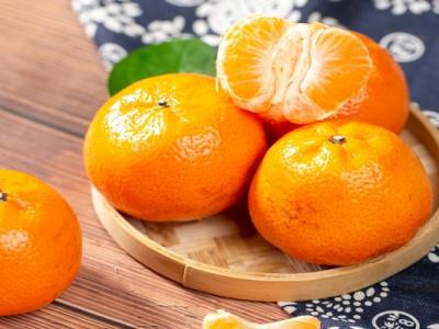 橘子和柿子可以一起吃嗎 柿子的禁忌和作用