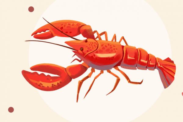 小龍蝦哪些地方不能吃 小龍蝦怎么剝皮食用-易網健康<a href=http://m.henggaotouzi.com/jkys/ target=_blank class=infotextkey>養生</a>網 小龍蝦哪些地方不能吃 小龍蝦怎么剝皮食用