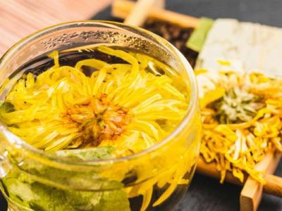 菊花和綠茶可以一起泡嗎 綠茶的功效與作用