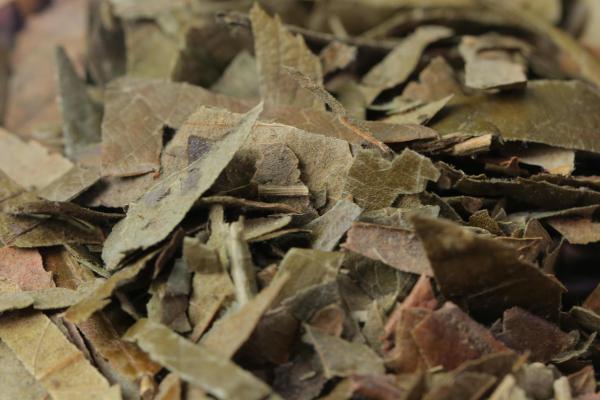 孕婦可以喝枇杷葉煮水嗎 枇杷葉煮水喝了有什么好處-易網健康<a href=http://m.henggaotouzi.com/jkys/ target=_blank class=infotextkey>養生</a>網 孕婦可以喝枇杷葉煮水嗎 枇杷葉煮水喝了有什么好處