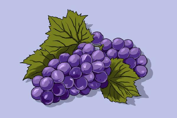 三伏天吃哪些水果最好 三伏天水果挑選技巧