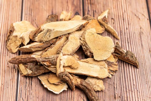 五指毛桃配什么煲湯最祛濕 五指毛桃煲湯的禁忌