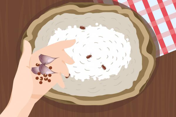 夏季怎么保存大米和白面 夏季保存大米和白面的方法