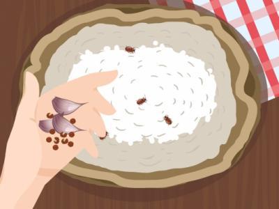 夏季怎么保存大米和白面 夏季保存大米和白面的方法