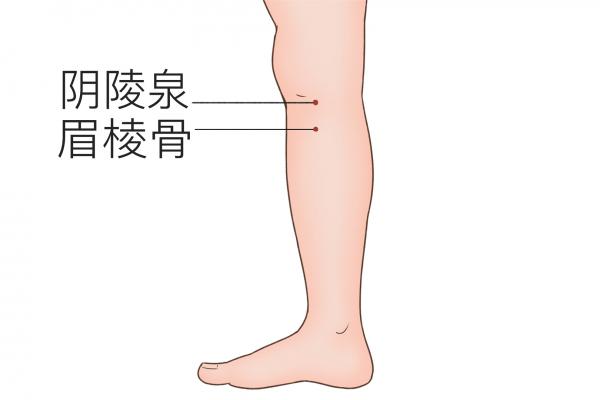 身體哪個穴位可以祛風祛濕 濕氣重時身體會有哪些表現
