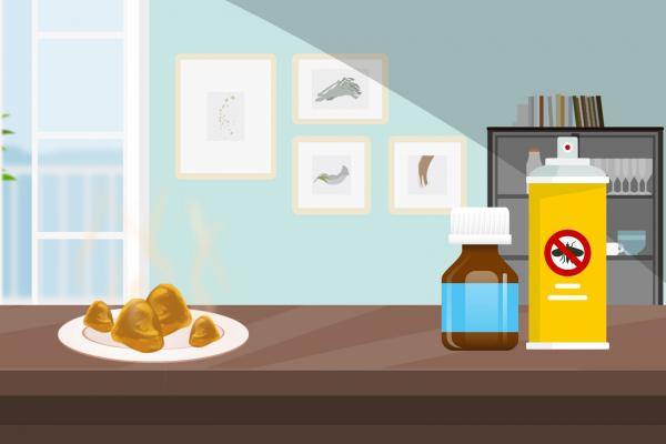 夏天床上如何除蟲(chóng)效果好 夏天床上除蟲(chóng)效果好的方法-易網(wǎng)<a href=http://m.henggaotouzi.com/ target=_blank class=infotextkey>健康養(yǎng)生</a>網(wǎng) 夏天床上如何除蟲(chóng)效果好 夏天床上除蟲(chóng)效果好的方法