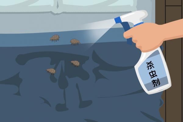 夏天床上如何除蟲(chóng)效果好 夏天床上除蟲(chóng)效果好的方法-易網(wǎng)健康<a href=http://m.henggaotouzi.com/jkys/ target=_blank class=infotextkey>養(yǎng)生</a>網(wǎng) 夏天床上如何除蟲(chóng)效果好 夏天床上除蟲(chóng)效果好的方法