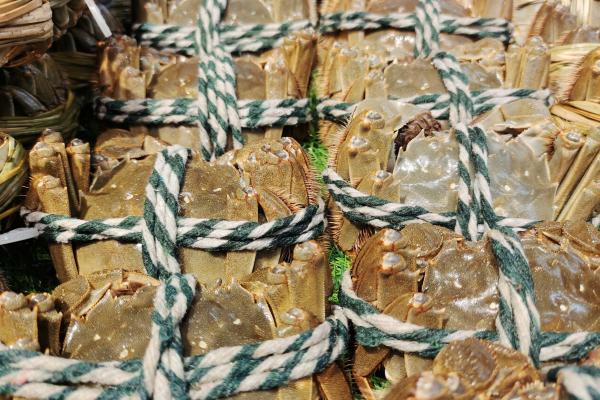 大閘蟹蟹黃發黑能吃嗎 為什么大閘蟹蟹黃會發黑