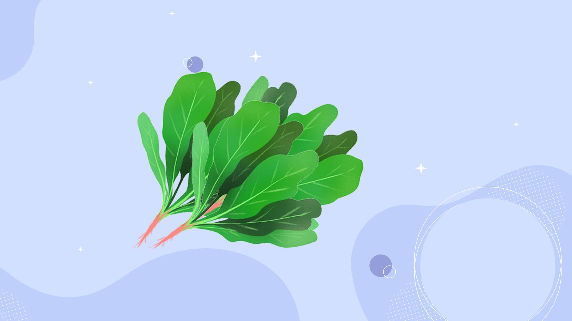 三伏天穿短褲涼快還是裙子 三伏天吃什么養生