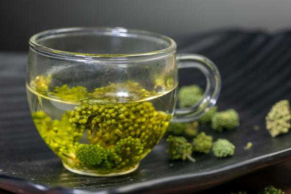 女生夏季三伏天喝什么茶 推薦女生三伏天喝的茶