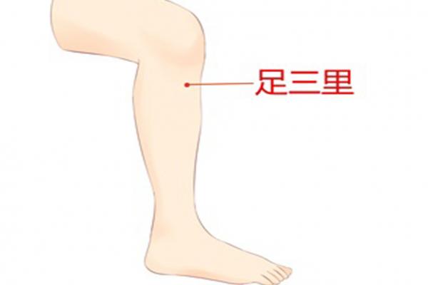 調脾胃三伏天貼什么穴位 三伏天貼敷注意事項