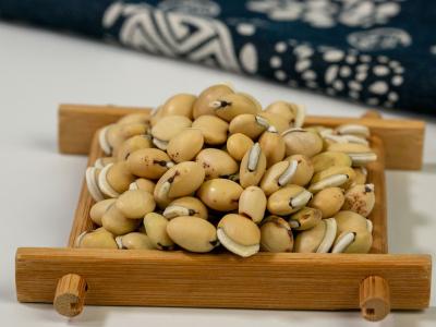 補肺的食物有哪些 補肺氣人們常吃的食物