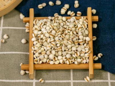 薏米加蜂蜜可以祛濕嗎 薏米怎么做<a href=http://m.henggaotouzi.com/jkys/ target=_blank class=infotextkey>養生</a>又好吃-易網<a href=http://m.henggaotouzi.com/ target=_blank class=infotextkey>健康養生</a>網 薏米加蜂蜜可以祛濕嗎 薏米怎么做養生又好吃