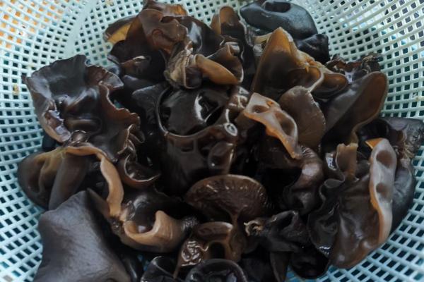 黑木耳怎么泡發(fā)最好 泡發(fā)黑木耳需要注意什么