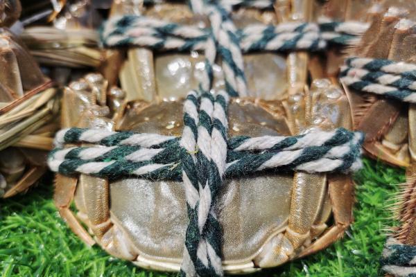 大閘蟹為什么不能放水里養(yǎng) 大閘蟹怎么清洗干凈