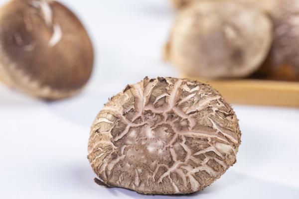 干香菇一般要泡多久才能食用 干香菇怎么泡才正確