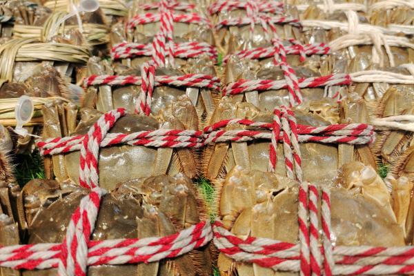 什么體質(zhì)不能吃大閘蟹 大閘蟹怎么做最好吃