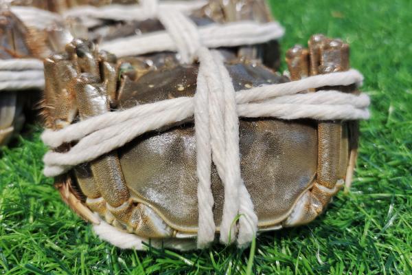 大閘蟹為什么不能蒸太久 大閘蟹怎么吃營養(yǎng)