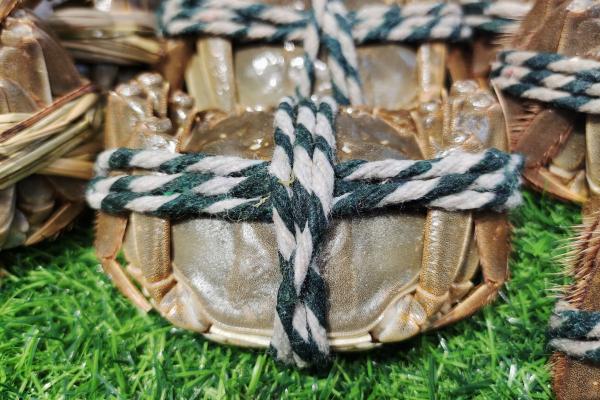 吃完大閘蟹后不能吃什么 吃完大閘蟹能吃香蕉嗎