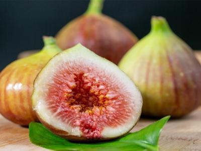 無花果濕氣重可以吃嗎 濕疹可以吃無花果嗎