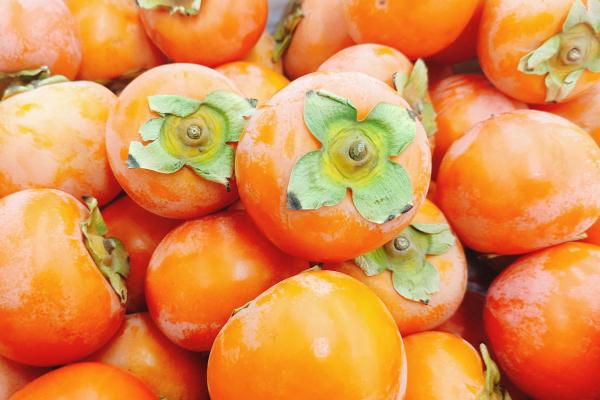 皮炎能不能吃凍柿子-易網健康<a href=http://m.henggaotouzi.com/jkys/ target=_blank class=infotextkey>養生</a>網 皮炎能不能吃凍柿子