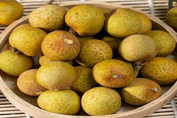 痛風能不能吃龍眼