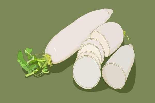 白蘿卜是涼性還是熱性