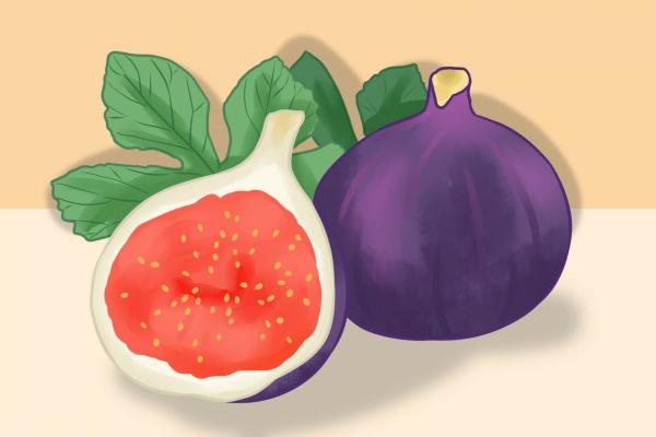 無花果干的功效與作用、禁忌和食用方法