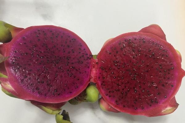 火龍果的功效與作用、禁忌和食用方法-易網健康<a href=http://m.henggaotouzi.com/jkys/ target=_blank class=infotextkey>養生</a>網 火龍果的功效與作用、禁忌和食用方法