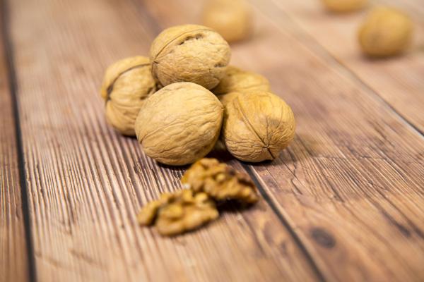 山核桃的功效與作用、禁忌和食用方法-易網(wǎng)<a href=http://m.henggaotouzi.com/ target=_blank class=infotextkey>健康養(yǎng)生</a>網(wǎng) 山核桃的功效與作用、禁忌和食用方法